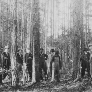 Farmers meeting at a timber thinning demonstrations on the farm of C.A. Pittard, Virgilina, Va.