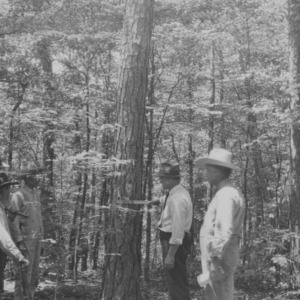 Forestry Meeting
