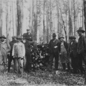 Timber thinning demonstration