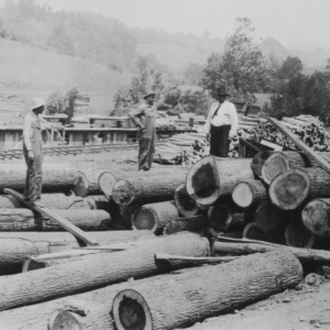 Log Yard