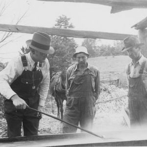 Making molasses in Madison County