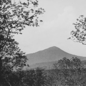 Looking at Mt. Pisgah from the grounds of the Pisgah Forest Inn, June 4, 1931