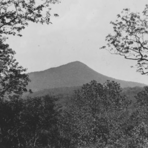 Looking at Mt. Pisgah from the grounds of the Pisgah Forest Inn, June 4, 1931
