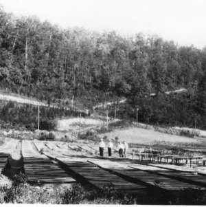 Forestry nursery, operated by the Log Cabin Association, Jackson County, N.C.