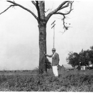 Man with alfalfa and black walnut tree