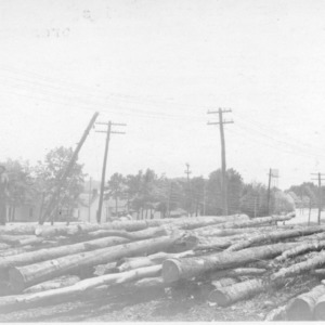 White oak pilings