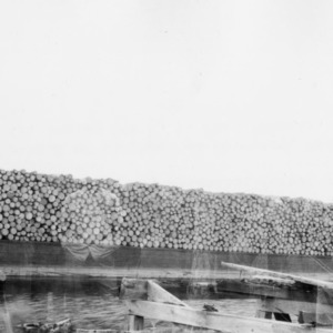 Barge-load of pulpwood