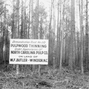Sign notifying pulpwood thinning by North Carolina Pulp Company