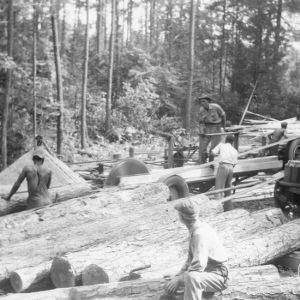 Men using mobile sawmill
