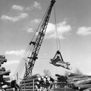 Timber lifted by crane