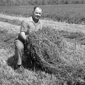 Farmer Henry Blair and bumper crop of red clover