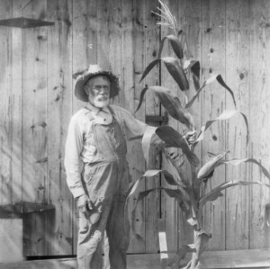 James Monroe Jarvis with stock of the Jarvis yellow corn