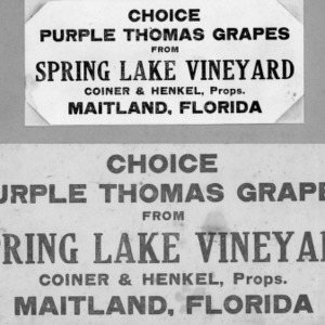 Labels used by Florida vineyardist F. A. Henkel
