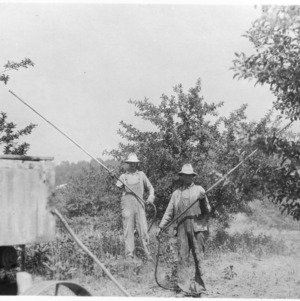 Men spraying trees with rods at Mt. Airy Orchard