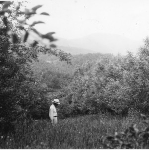 R. W. Barber Orchard with grass as cover crop