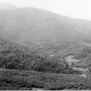 Distant view of R. W. Barber Orchard