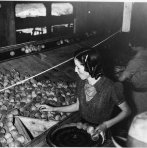 Women workers sorting peaches