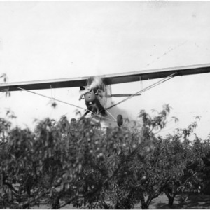Plane dusting fruit orchard