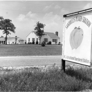 Sign for Sandhills Peach Experiment Station