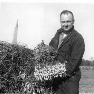 E. W. Evans, Jr. with peanut bunches
