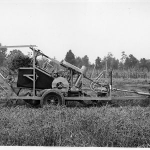 Man harvesting peanuts with agricultural machinery