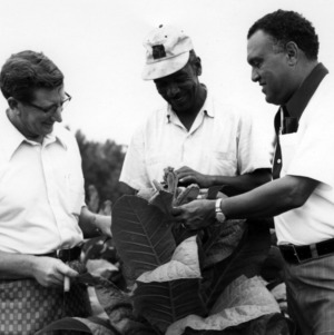 Group examining tobacco plant in field