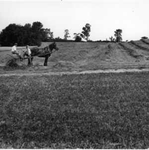Two men with horse drawn harvester