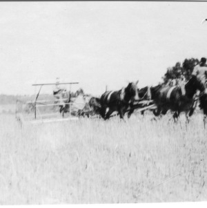 Men using wheat binder in field