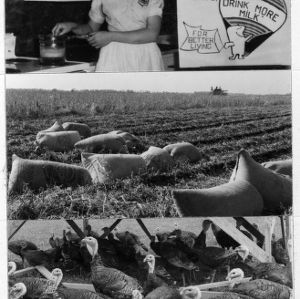 Agricultural images