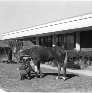 Women tending to horses at Sandhill Equine Center