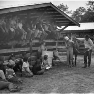 Man and woman showing horse to group of children