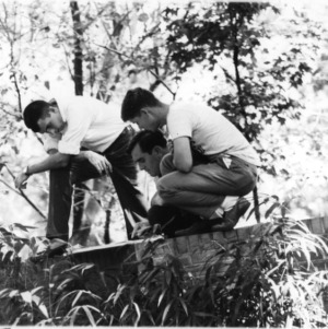 Men examining plants