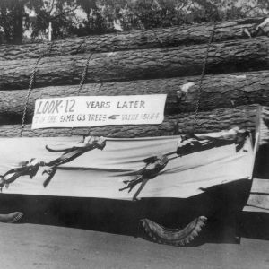 Parade Float Displays Logs