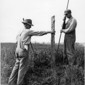 Setting Post for Cattle Fence