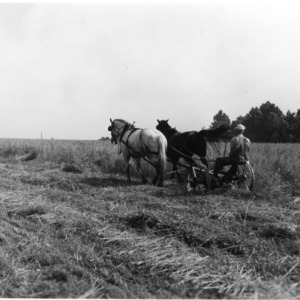 Horse pulled farm equipment