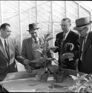 Four men discussing plants in a greenhouse, Farm Press and Radio Institute
