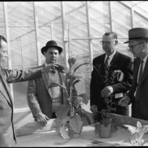 Four men discussing plant in a greenhouse, Farm Press and Radio Institute