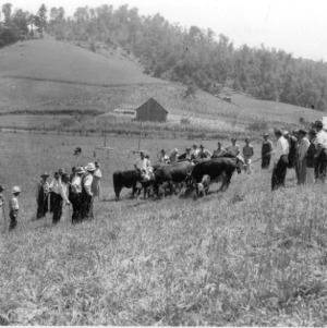 W.W. Wilson, demonstration farm, Watauga County farm tour