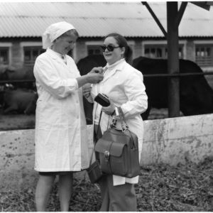 Two unidentified women in front of a cattle stockyard on the Goodwill People to People travel mission to Europe