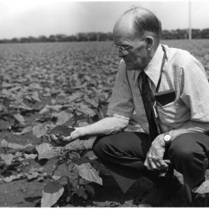 Unidentified man, possibly an agricultural extension worker, with a handful of soil on the Goodwill People to People travel mission to Europe