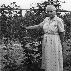 Home demonstration club member, Mrs. F.E. Bristow, displaying beans in her garden