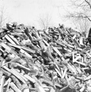 Unidentified woman gathering wood from pile, African American Farm Tour