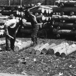 Men Chopping Logs