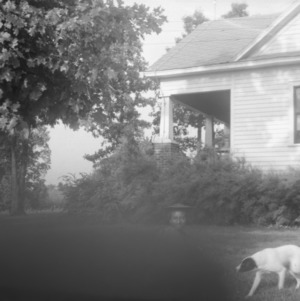 Woman and Dog in Front of Country House