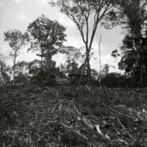 Land Clearing Operation