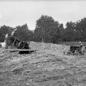 Grinding Sorghum, Union County