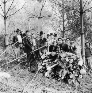 Group of farmers and 4-H boys following a demonstration in which undesirable trees were removed from a stand of mixed pine