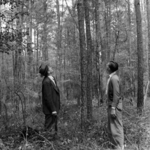 Assistant County Agent J.P. Stovall and Paul King look over Paul's timber thinning project