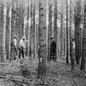 Forestry club acre of George and Emmett Turbyfill, Maiden, N.C., 1927