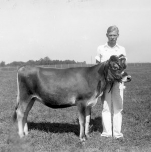 Harold Lutz and his 4-H Junior Champion Jersey at 1938 State Fair
